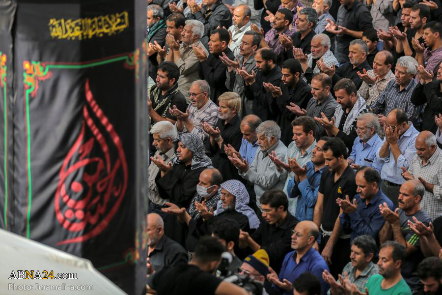 گزارش تصویری/ اقامه نماز جماعت زائرین اربعین در حرم امام علی(ع) 