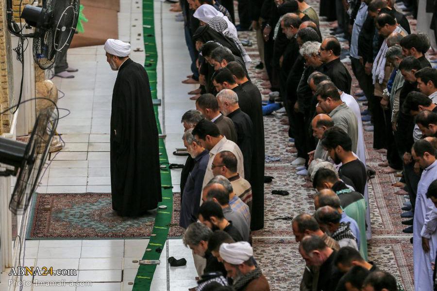 گزارش تصویری/ اقامه نماز جماعت زائرین اربعین در حرم امام علی(ع) 