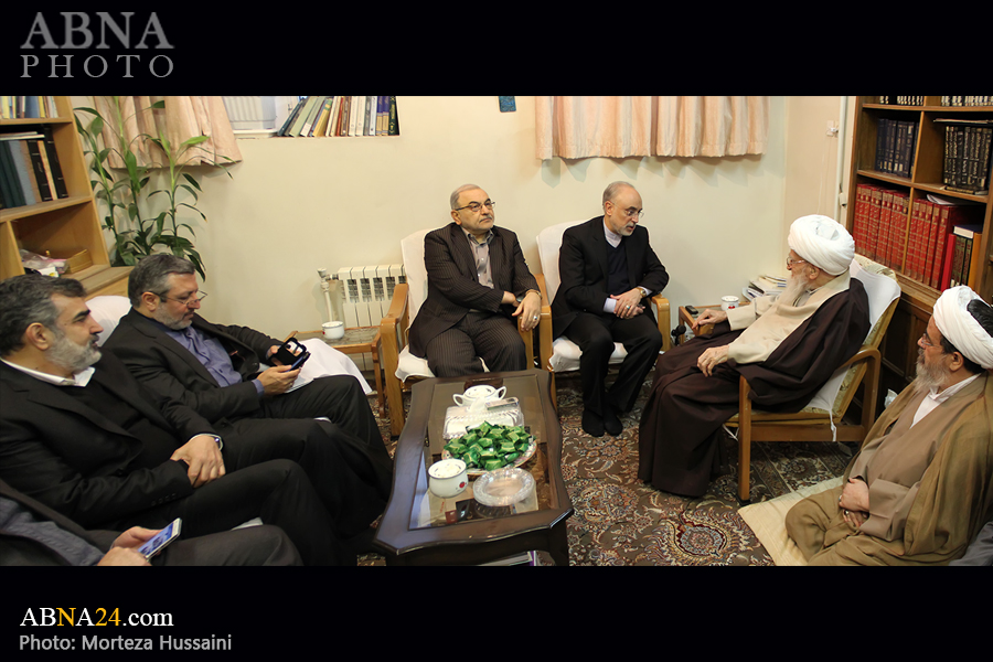 عکس خبری/ دیدار رئیس سازمان انرژی اتمی با آیت الله صافی گلپایگانی 