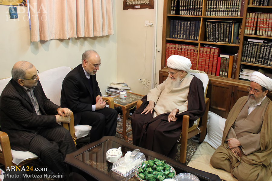 عکس خبری/ دیدار رئیس سازمان انرژی اتمی با آیت الله صافی گلپایگانی 