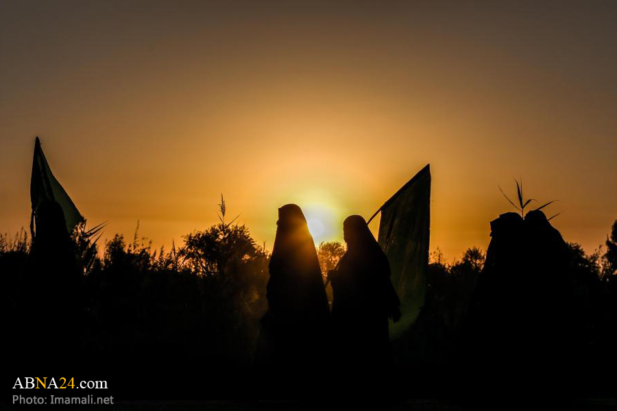 Photos: Arbaeen pilgrims in Iraq march to Karbala