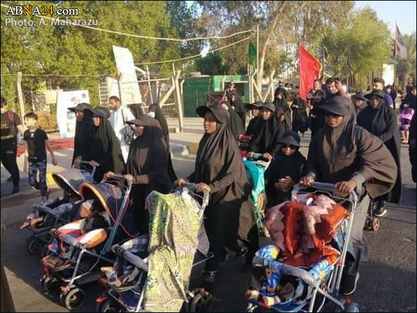 گزارش تصویری/ پیاده روی دسته جمعی پیروان شیخ زاکزاکی به سمت شهر کربلای معلّی 
