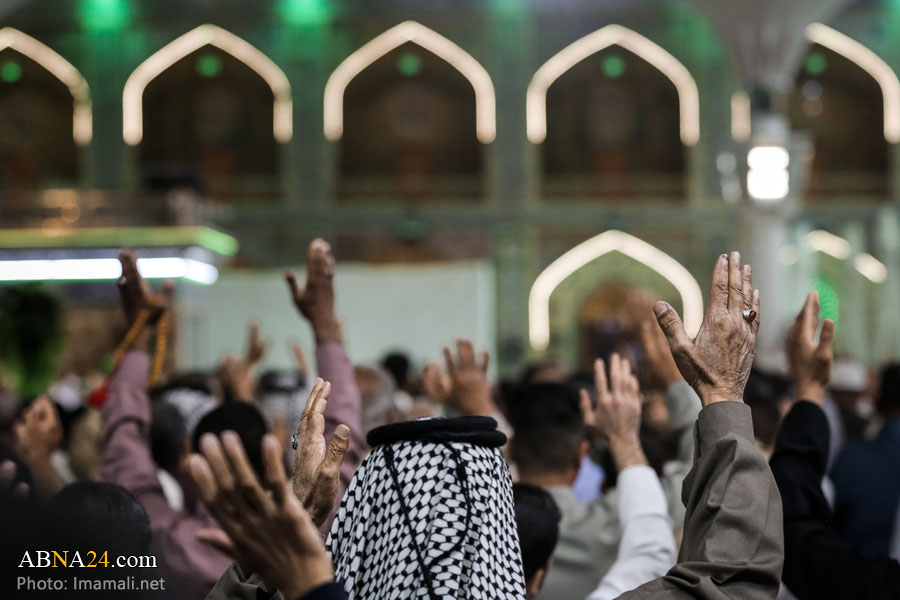 عکس خبری/ مراسم قرائت دعای کمیل در حرم امام علی(ع) 